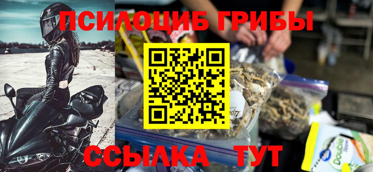 Галлюциногенные грибы Psilocybe Озёры
