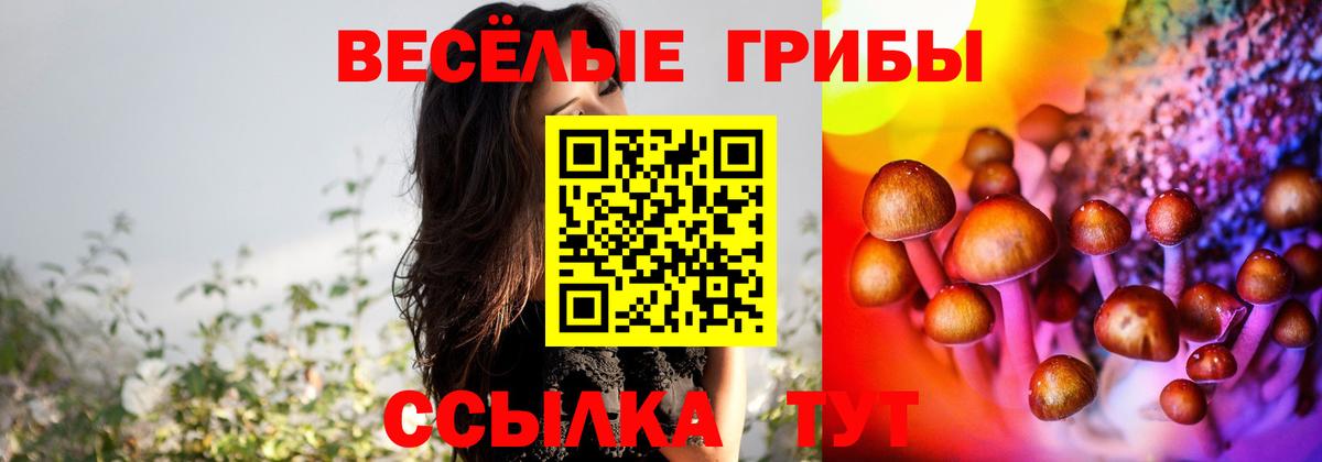 Купить наркоту  Мефедрон  МАРИХУАНА  Озёры  Гашиш  Кодеин  Вход с VPN  Меф   Кокаин  A-PVP СОЛЬ кристаллы  Гашиш  Вейп ТГК 